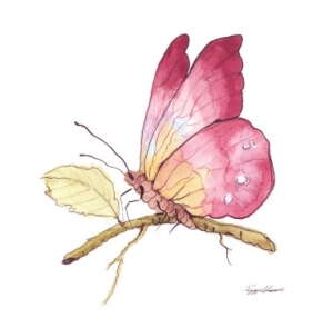 peggy-abrams-butterfly-in-pinkjhj